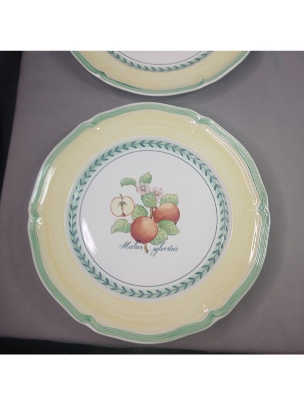 Villeroy & Boch French Garden Valence 2 Dinner Plates Vitro Porcelain - Picture 7 of 16